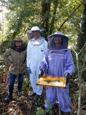 Three people standing in a wooded area, two wearing white and purple beekeeper suits with protective veils, and one person without protective gear. The individual in the center is holding a frame covered in bees, likely demonstrating beekeeping practices or inspecting the hive