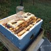 Insulating hives for the winter