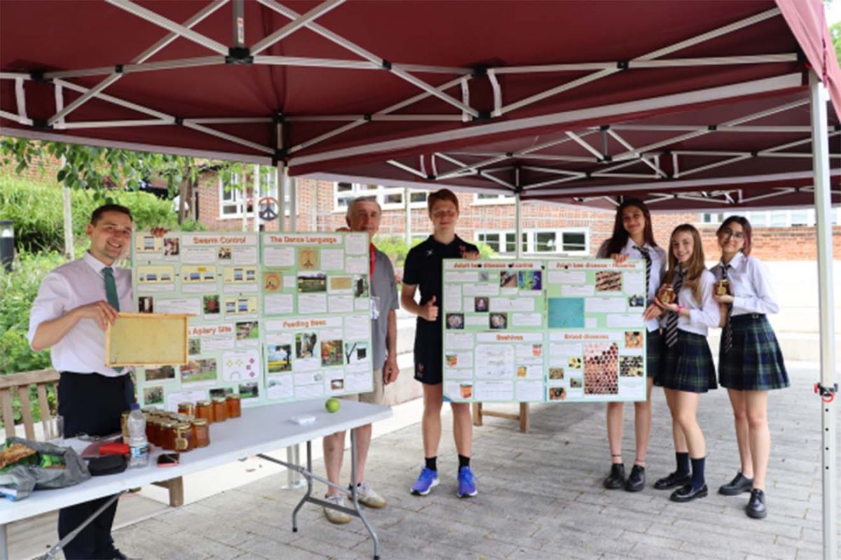 Engaging Bee Education: Students and Staff Explore Bee Information Displays at Mill Hill International.