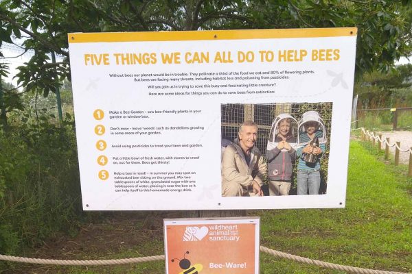 Informational sign titled "FIVE THINGS WE CAN ALL DO TO HELP BEES" with bullet points, next to a photo of three people in beekeeping suits.