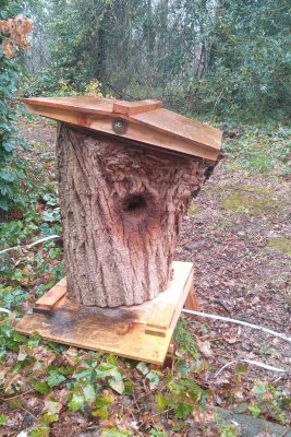 A wooden beehive crafted from a hollow tree trunk with a slanted roof, placed in a natural forest setting.