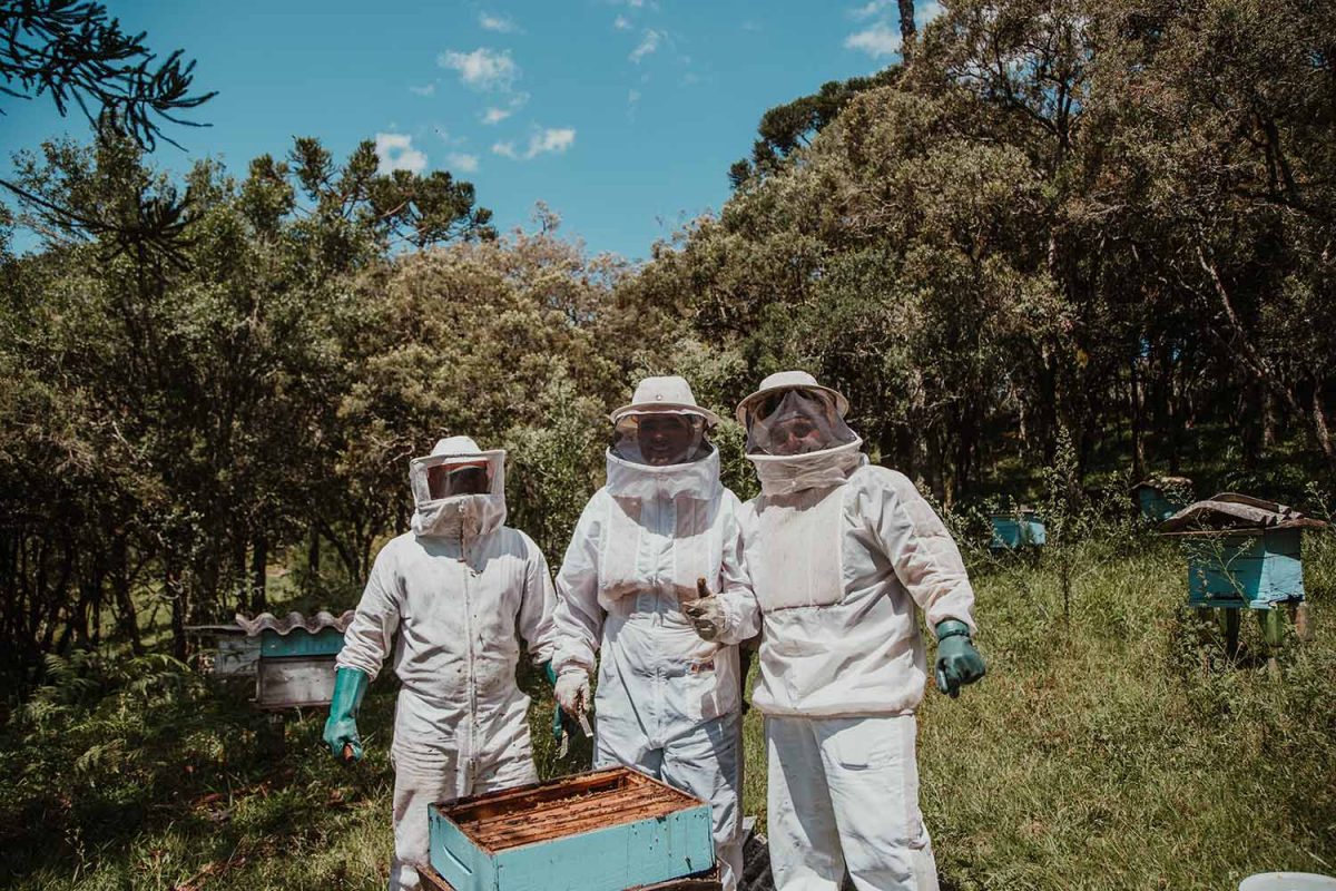 Three people from Template 4 business with bee suits on taking a look at the honeybee hive that is on their land.